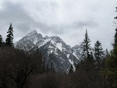 -白马王朗自然风景区