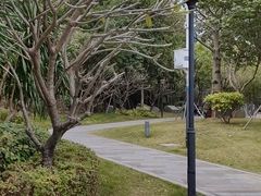 -清湖文化公园