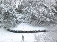 -雲龍王KTV火锅(浐灞店)