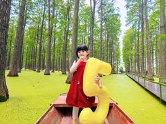 -渌洋湖湿地公园