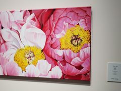 -德基艺术博物馆