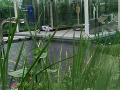 -庄子梦然·城市微度假·24h按摩·推拿·spa