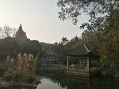 -叶家花园