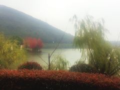 -宁波九龙湖开元度假村
