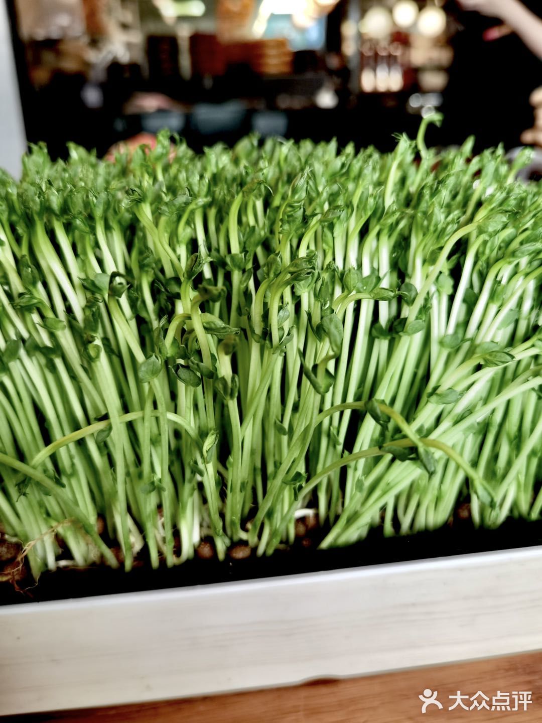 熊猫🐼老灶火锅