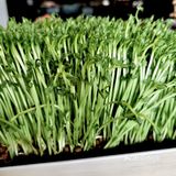 熊猫🐼老灶火锅