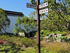 -上海滨江森林公园