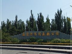 -永定河休闲森林公园