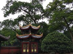 -峨眉山报国寺
