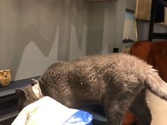 -吱咖啡西式简餐