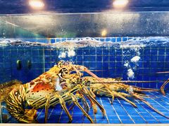 -外滩·云南人家(昆明旗舰店)