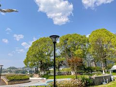 -鱼宴馆·家宴老字号淳鱼馆(千岛湖总店)