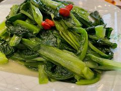 油麦菜-清真·益鑫羊肉手抓馆(花园北街店)