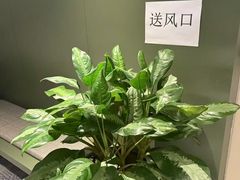 -JOYA湾悦国际酒店(世界之窗店)