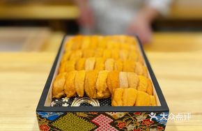 Ocean Sea Urchin