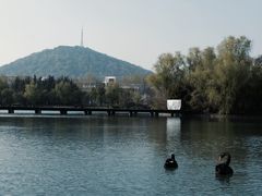 -安徽新华学院