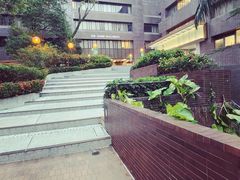 -香港大学