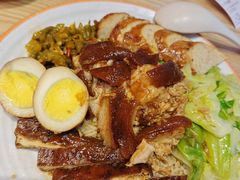 -瑞霖·隆江猪脚饭