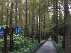 -上海怡沁园度假酒店