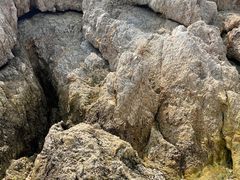 -石槽海滨浴场
