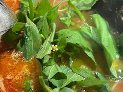 -黔府豆米火锅野菜馆(南马店)