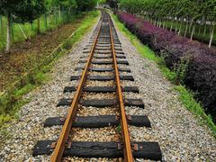 -武汉紫薇都市田园