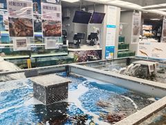 -盒马鲜生(大成店)