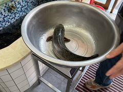 -老四川平头酸菜鱼(衙前店)