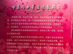 -国家会议中心大酒店