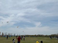 -春花秋色城市公园