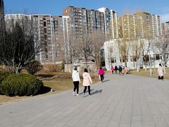 -望湖公园