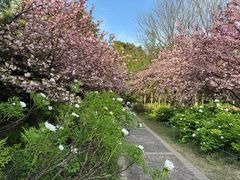 -洛阳市隋唐城遗址植物园