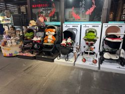 -保丽宝泰母婴护理院·月子中心·产康·中医(常州店)