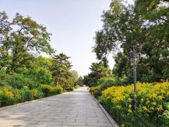 -北京植物园南门售票处