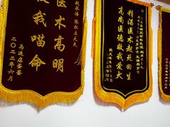 -宠福鑫动物医院(城北分院)
