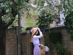 -溪岸路花鸟市场