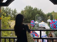 -哈尔滨波塞冬海底世界