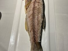 -百乐潮州酒家(时代广场店)