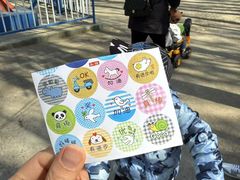 -长白岛森林公园