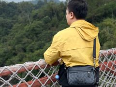 -广州白江湖森林公园