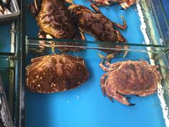 -江杨农产品批发市场