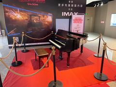 -星河寰宇IMAX影城(星河WORLD·COCO Park店)