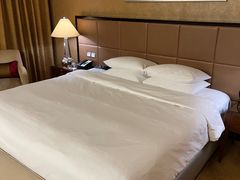 -上海波特曼丽思卡尔顿酒店