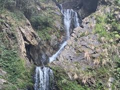 -石台牯牛降景区