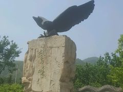 -北京鹫峰国家森林公园