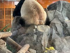-云南野生动物园
