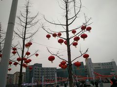 -商丘站