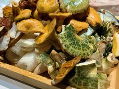 -七采菌园·野生菌石锅鱼(环城北路店)
