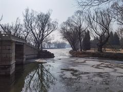 -颐和园