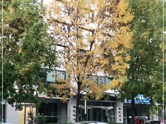 -苏浙汇(朝外店)